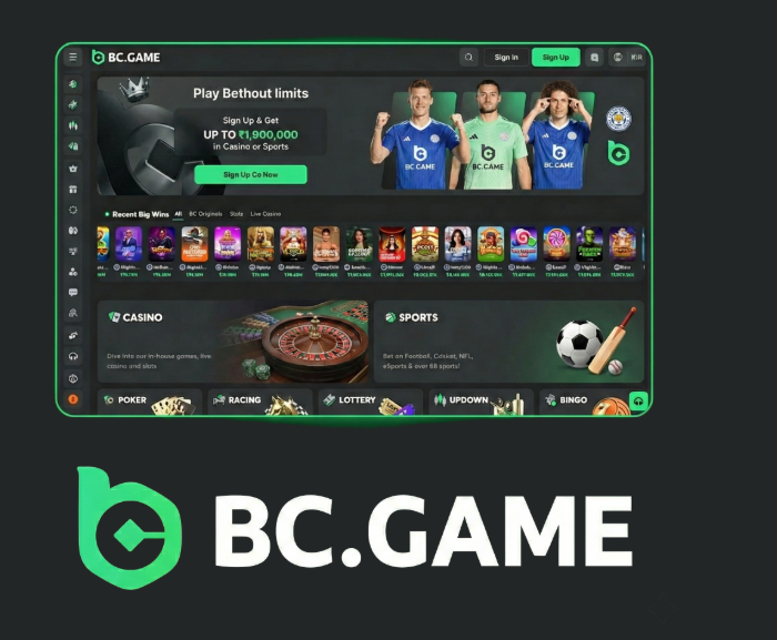 Exploring BC.Game The Premier Online Gaming Platform in Kazakhstan